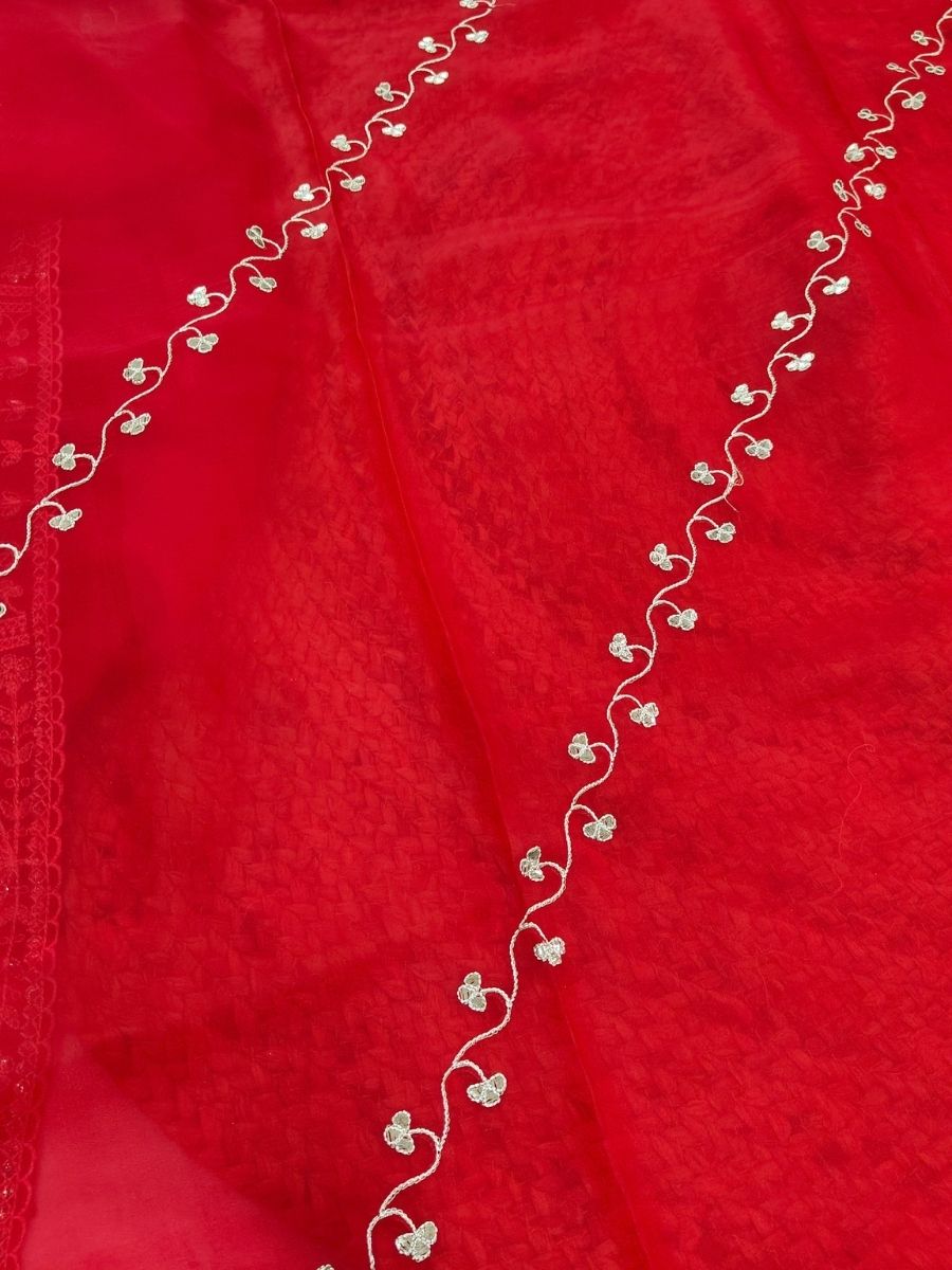 RED TISSUE PITA WORK SAREE
