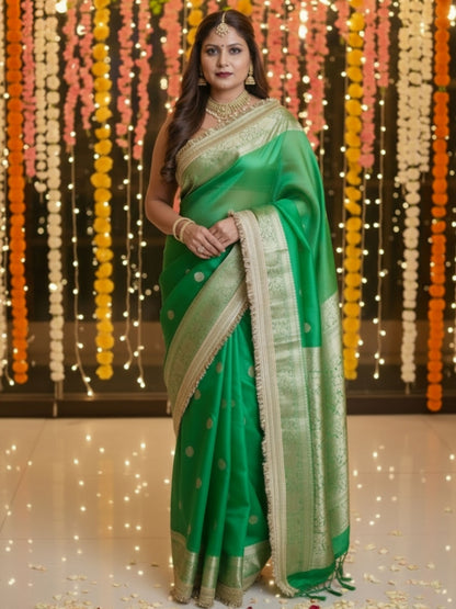 GREEN TISSUE SAREE WITH LACE BORDER
