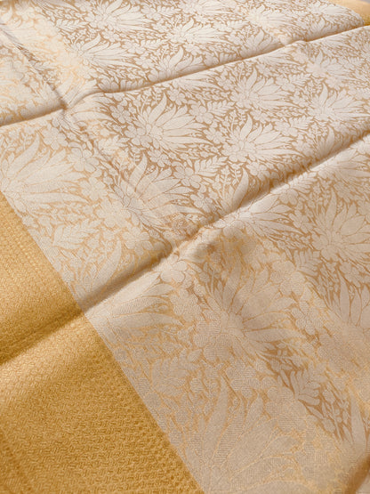 GOLDEN GLASS TISSUE SAREE